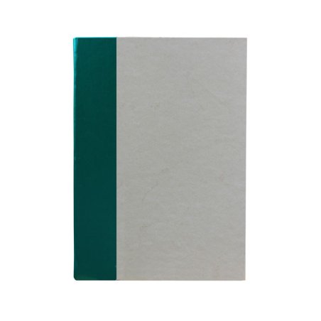Pino-Gästebuch aus grünem Leder und antikem Pergamentpapier - Conti Borbone