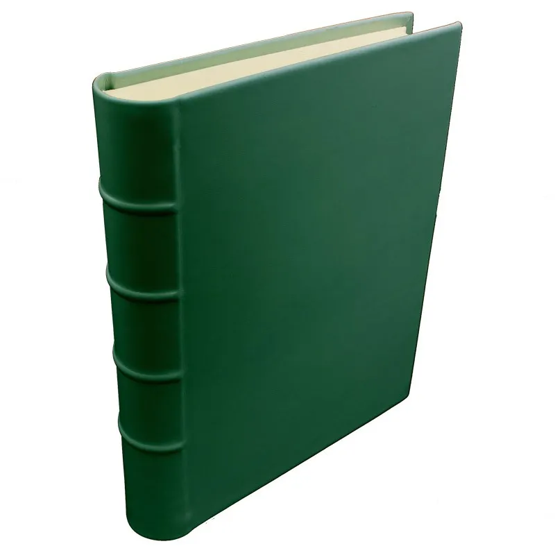 Album foto pelle Pino - Conti Borbone - Pelle di vitello verde - Standard - dorso