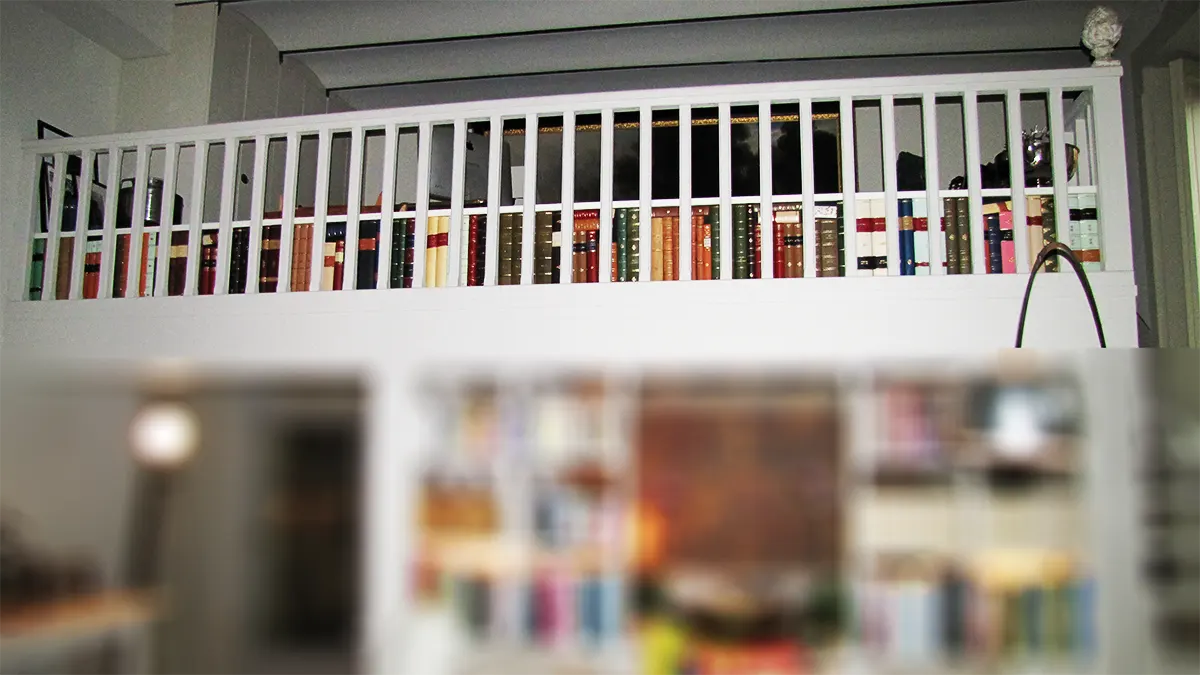 Libri finti in pelle e personalizzati per una casa privata sita in Milano | Conti Borbone libri-finti-pelle-personalizzati-in-tutto-conti-borbone